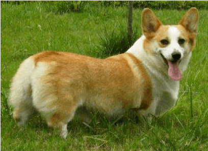   (x)  Ů