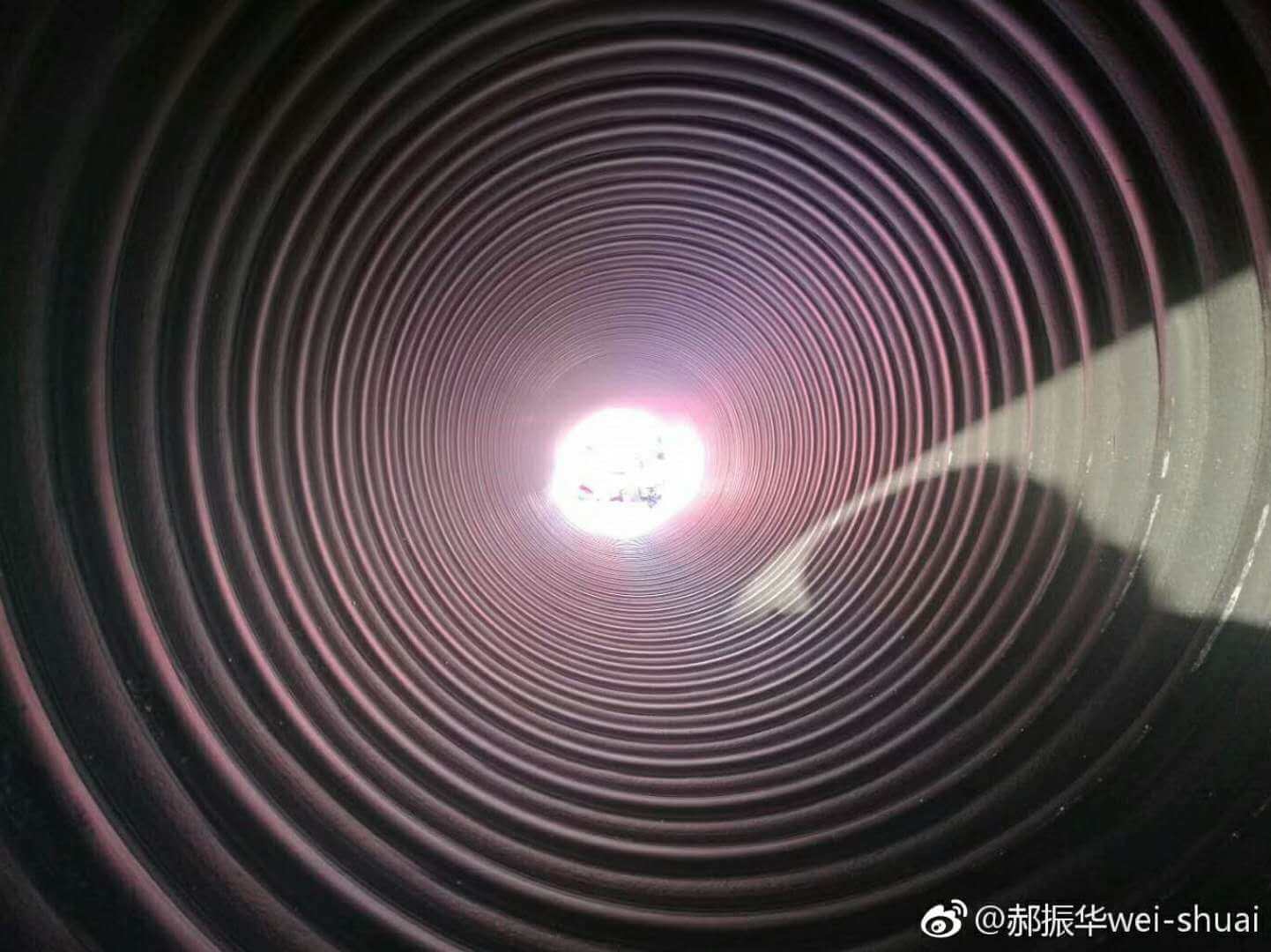  ¶ĘĘ
