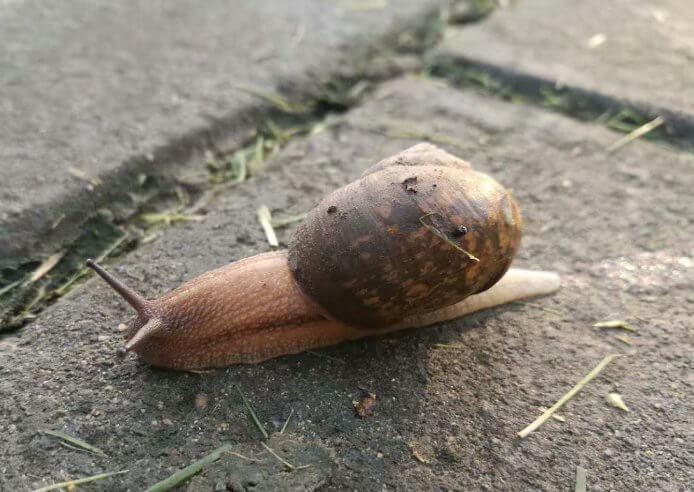 M(jn)ɳӵ۾һ(g)I˵ϣ